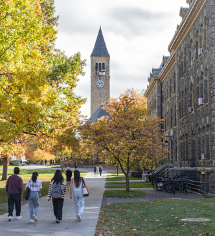 University of London connected planning webinar Sempre Analytics